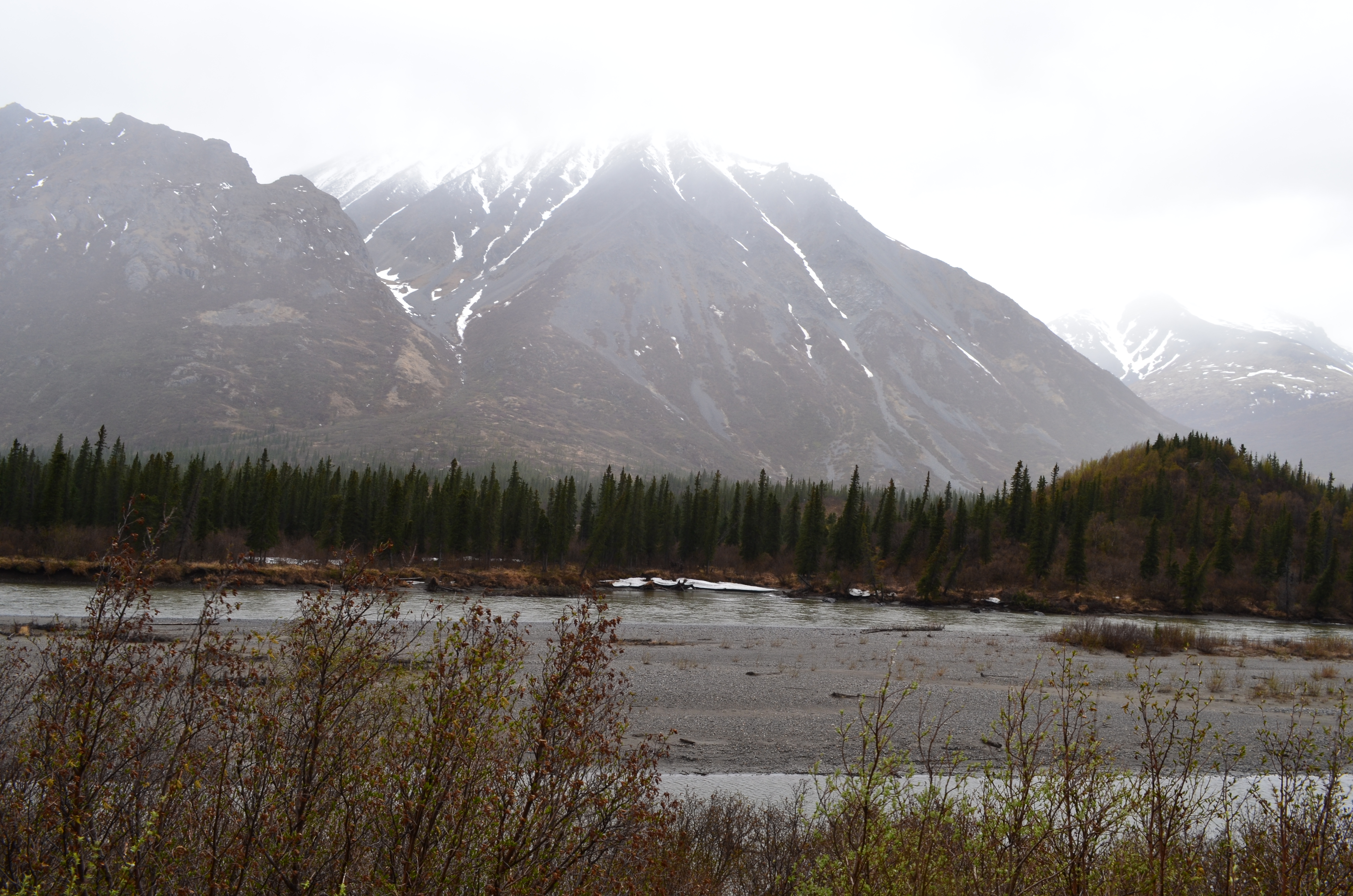./2017/08 - Alaska Cruise/03 - Denali/DSC_0117.JPG